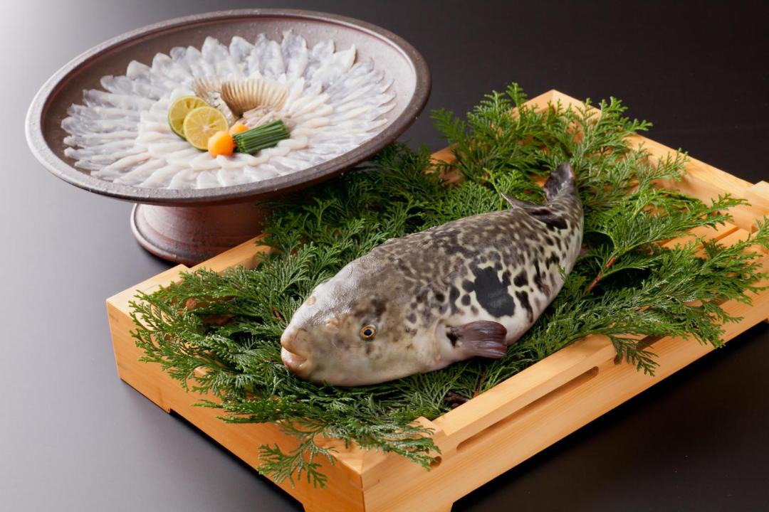 Photo of Others in Unzen