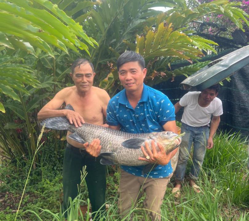 Photo of Others in Di Linh