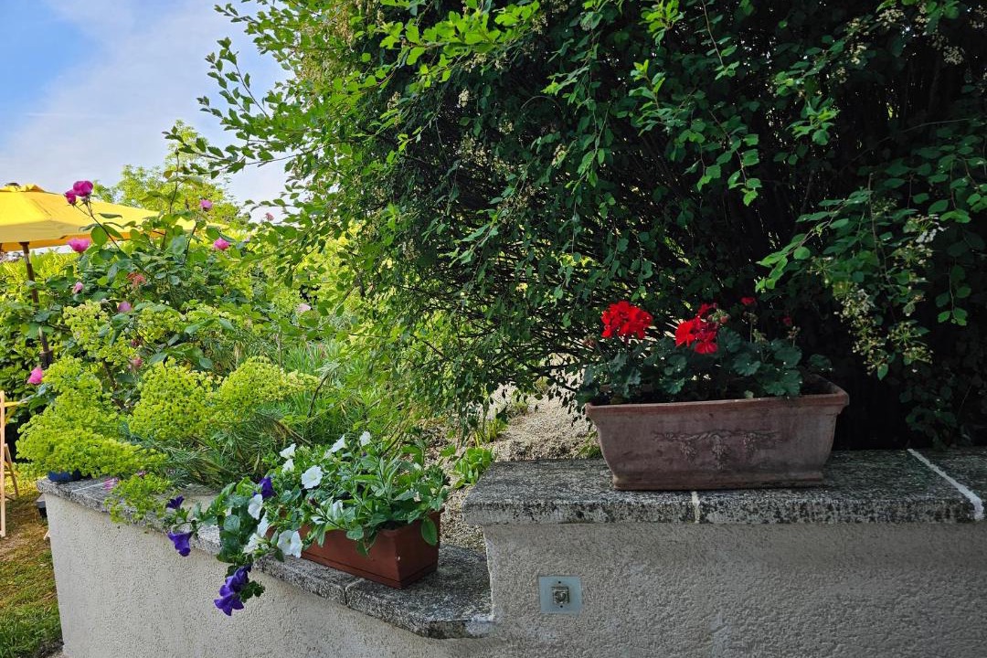 Photo of Others in Giverny