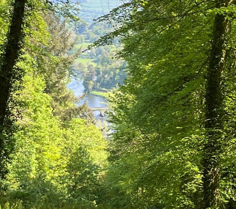 Photo of Others in Kilgreaney