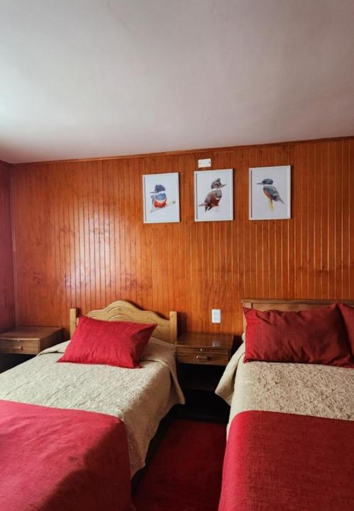 Photo of Others in Llanquihue