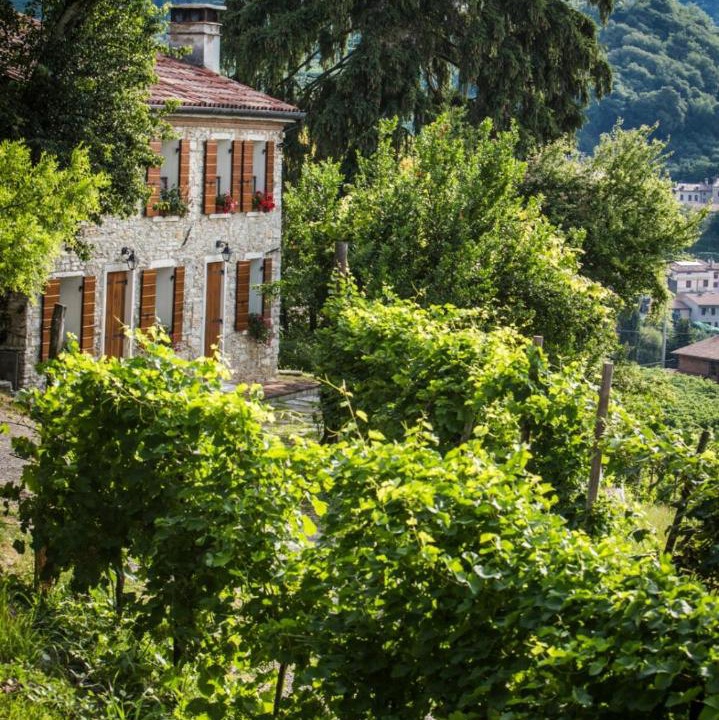 Photo of Others in Valdobbiadene