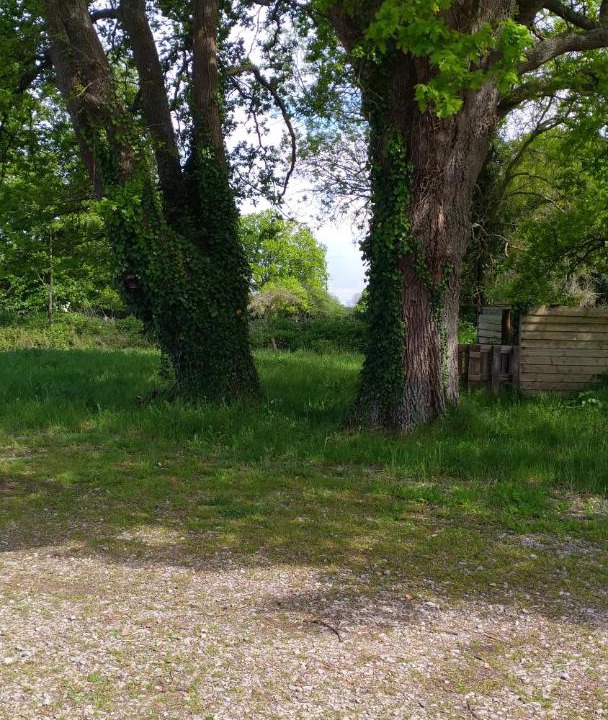 Photo of Others in Le Mesnil-Germain