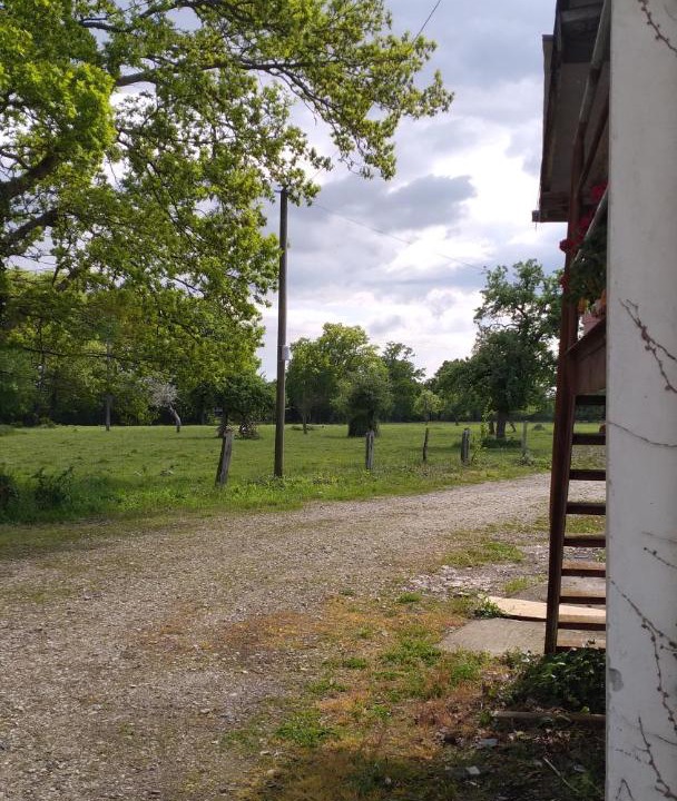 Photo of Others in Le Mesnil-Germain