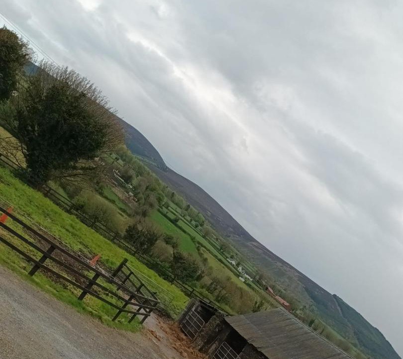 Photo of Others in Kilgreaney