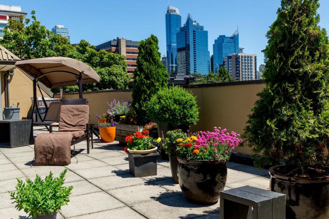 Photo of Patio Balcony in Davie Village