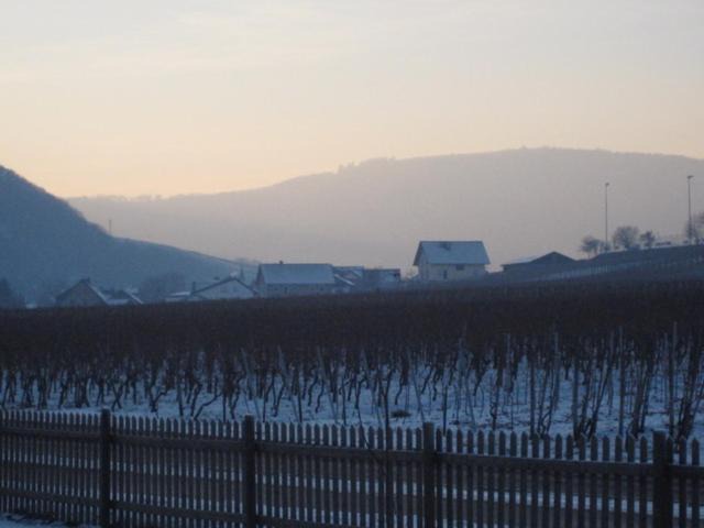 Photo of Others in Alken