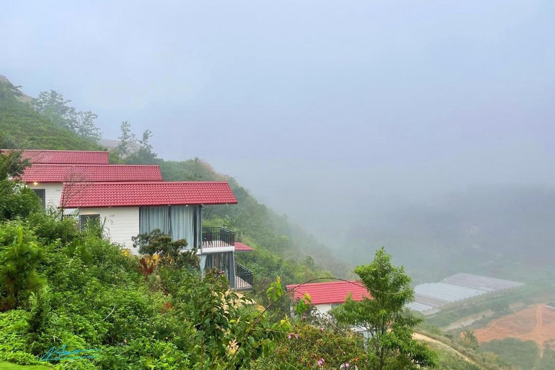 Photo of Others in Lac Duong