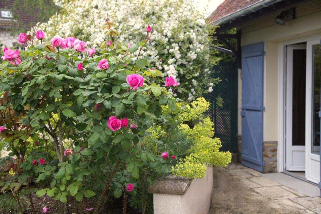 Photo of Others in Giverny