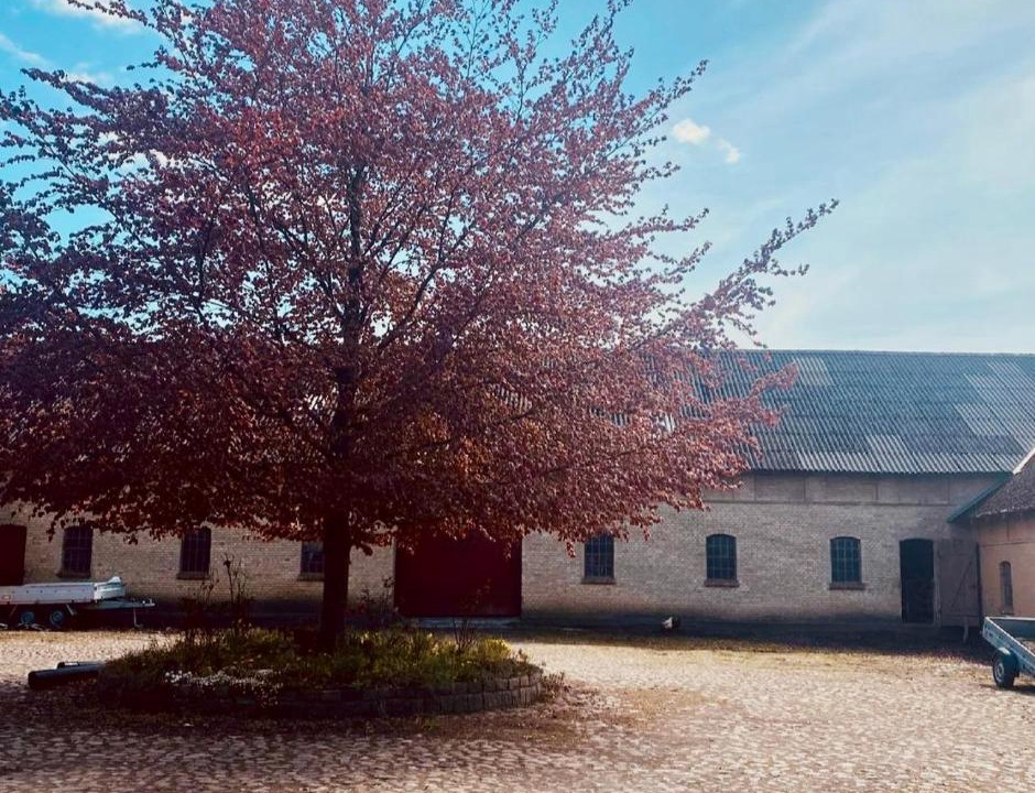 Photo of Others in Assens