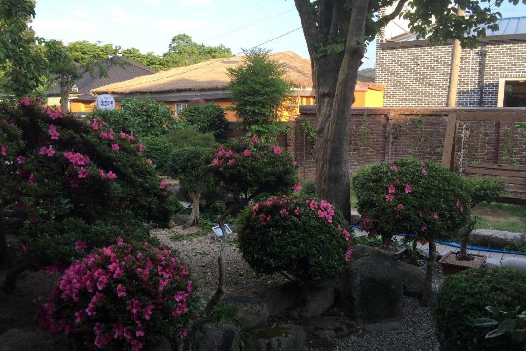 Photo of Others in Jeonju
