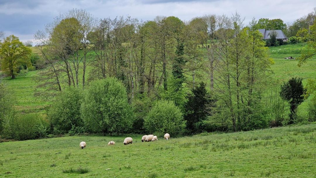 Photo of Others in Saint-Jean-de-Livet