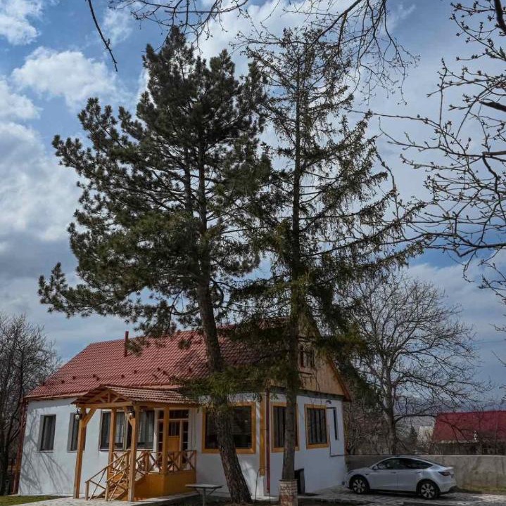 Photo of Others in Dsegh