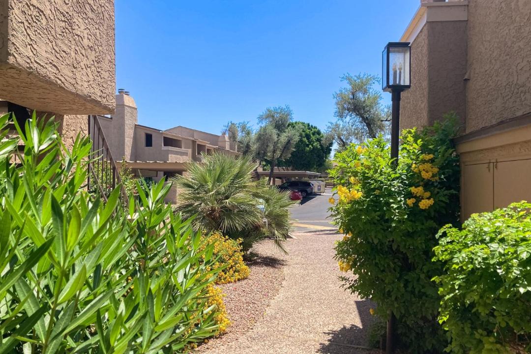 Photo of Others in South Scottsdale