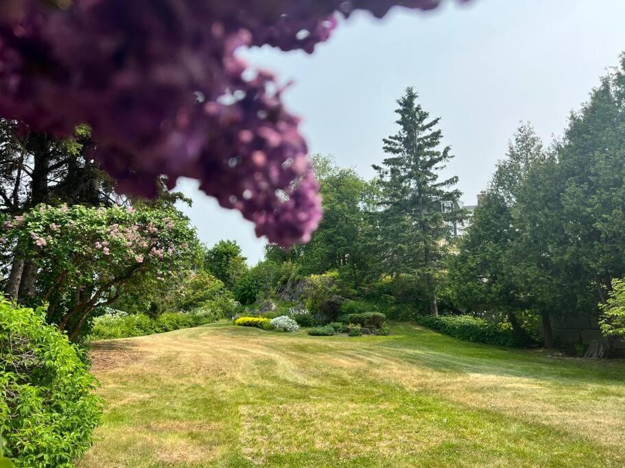 Photo of Others in Pointe-au-Pic