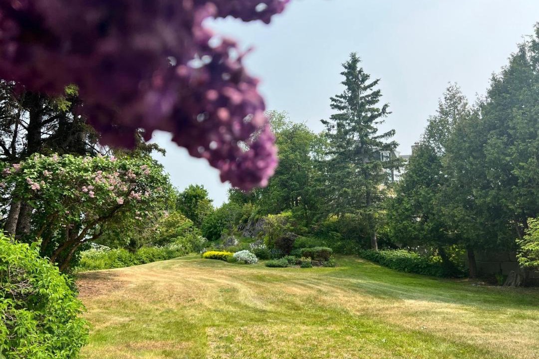 Photo of Others in Pointe-au-Pic