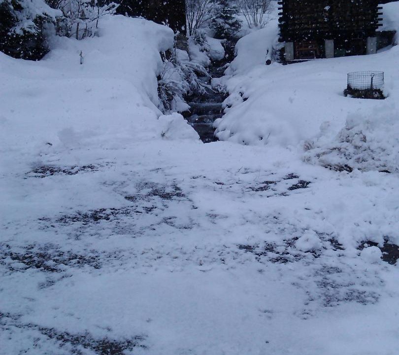Photo of Others in Vionnaz