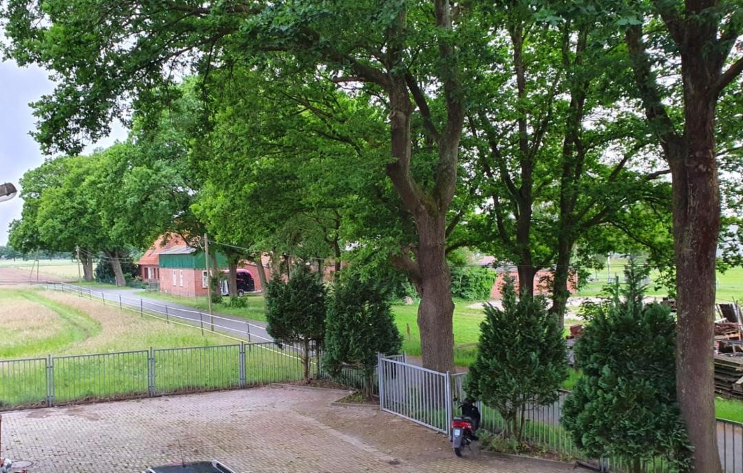 Photo of Others in Annenheide