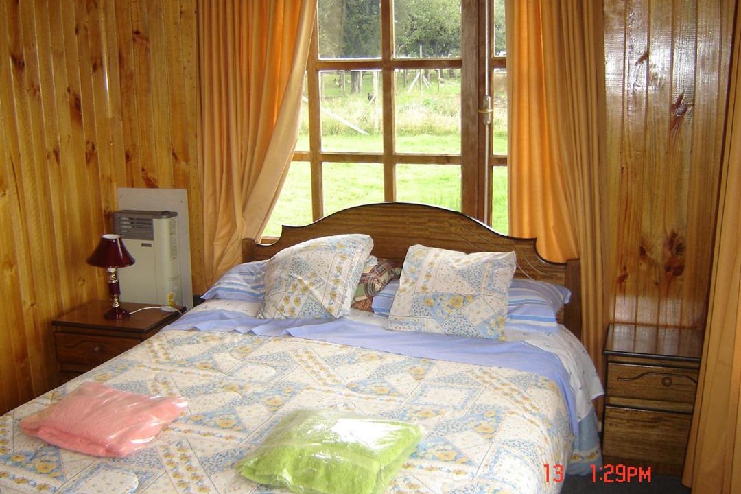 Photo of Others in Hornopiren National Park
