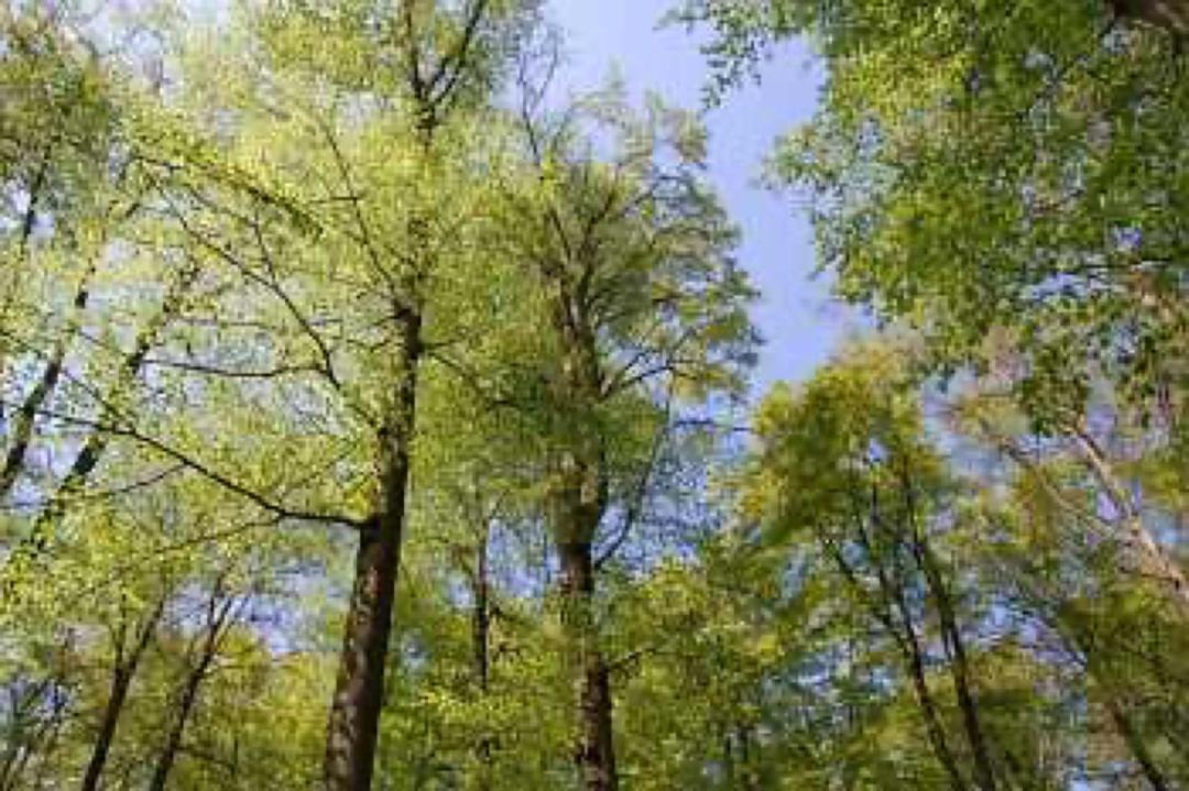 Photo of Outdoor in Craula