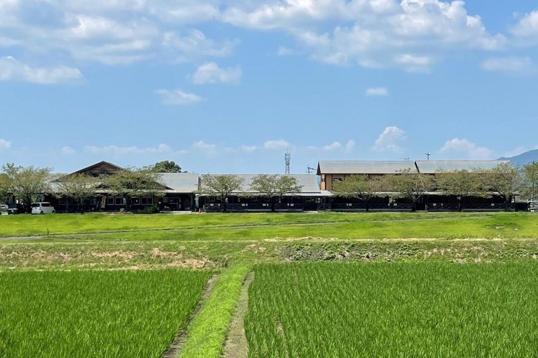 Photo of Others in Kikuchi