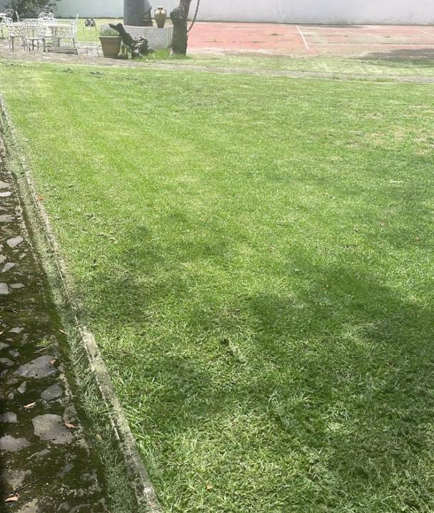 Photo of Outdoor in Ocoyoacac