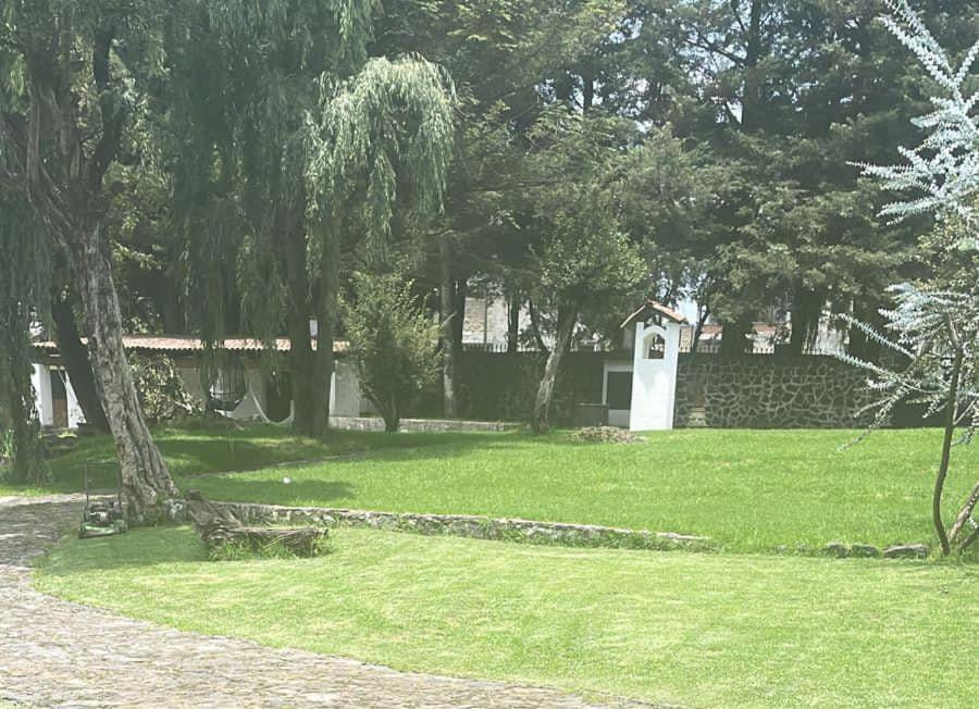 Photo of Others in Ocoyoacac