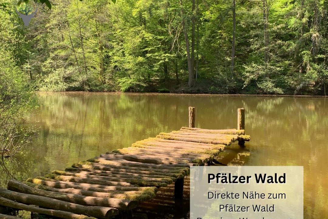 Photo of Others in Pirmasens