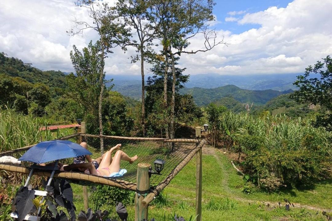 Photo of Others in Vergara