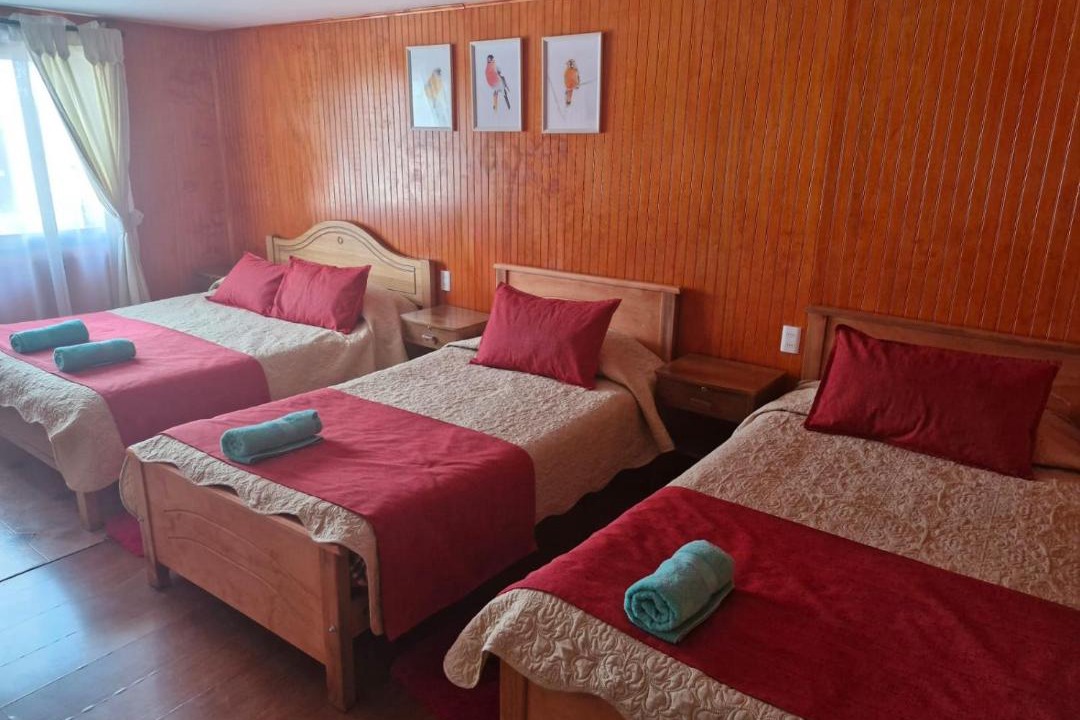 Photo of Bedroom in Llanquihue