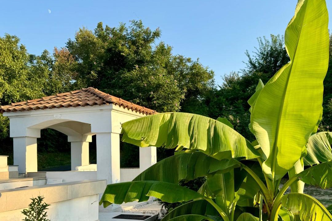 Photo of Others in Pazmandfalu