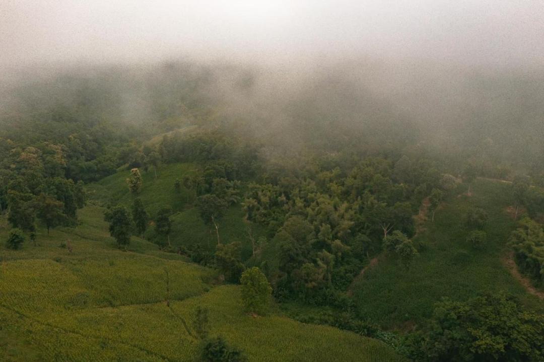 Photo of Outdoor in Pua