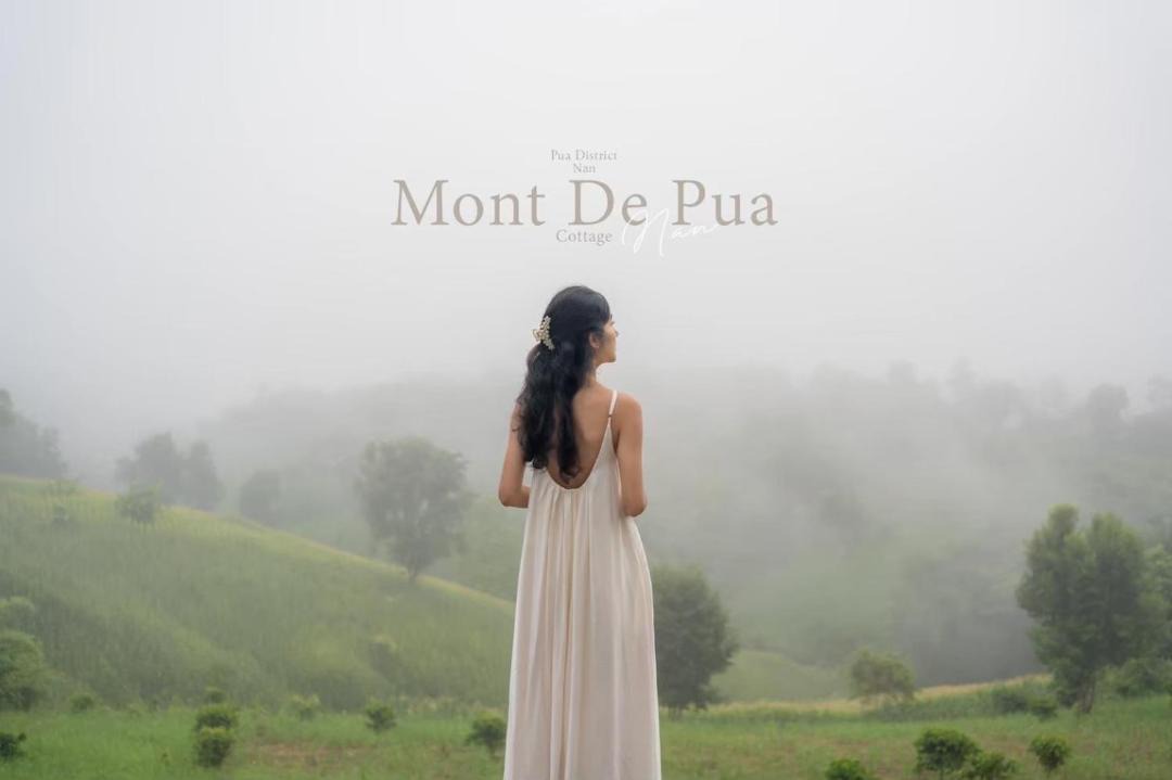 Photo of Human In Picture in Pua
