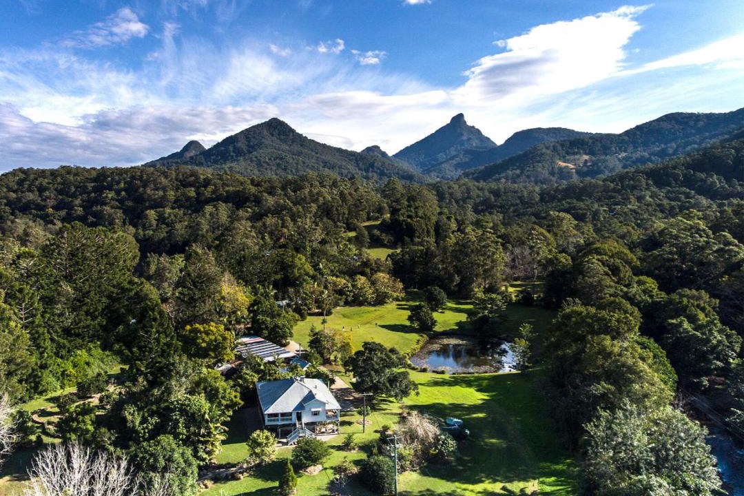 Photo of Others in Mount Warning