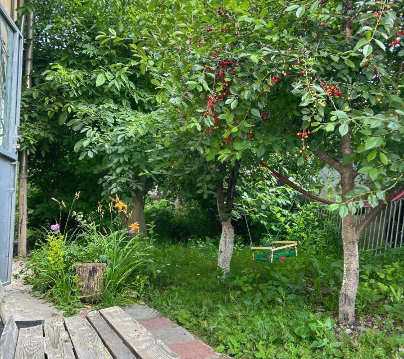 Photo of Others in Sevan