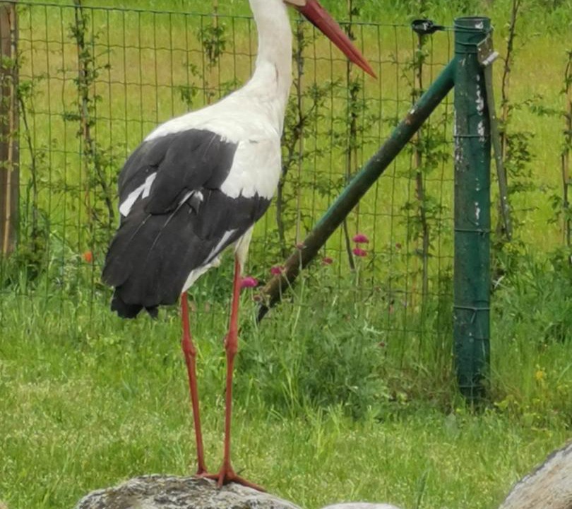 Photo of Others in Gerswalde