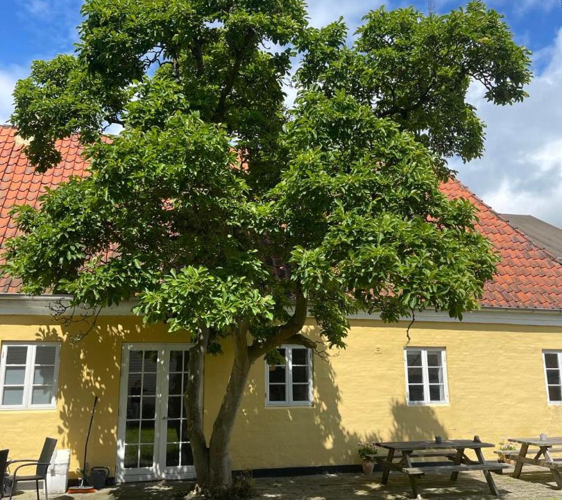 Photo of Others in Faaborg