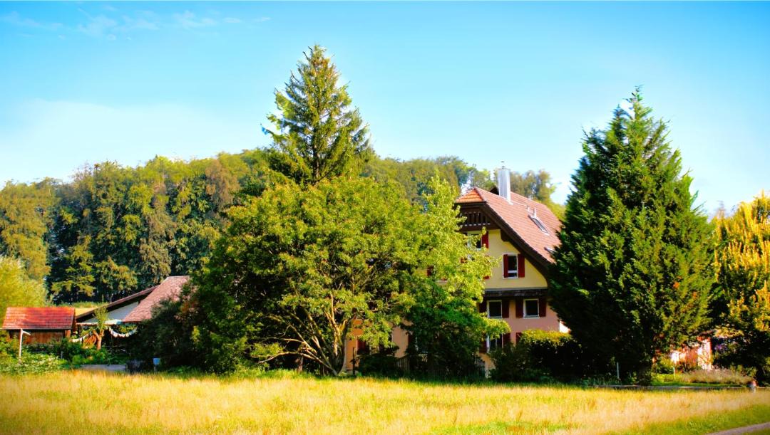 Photo of Others in Oberkirch