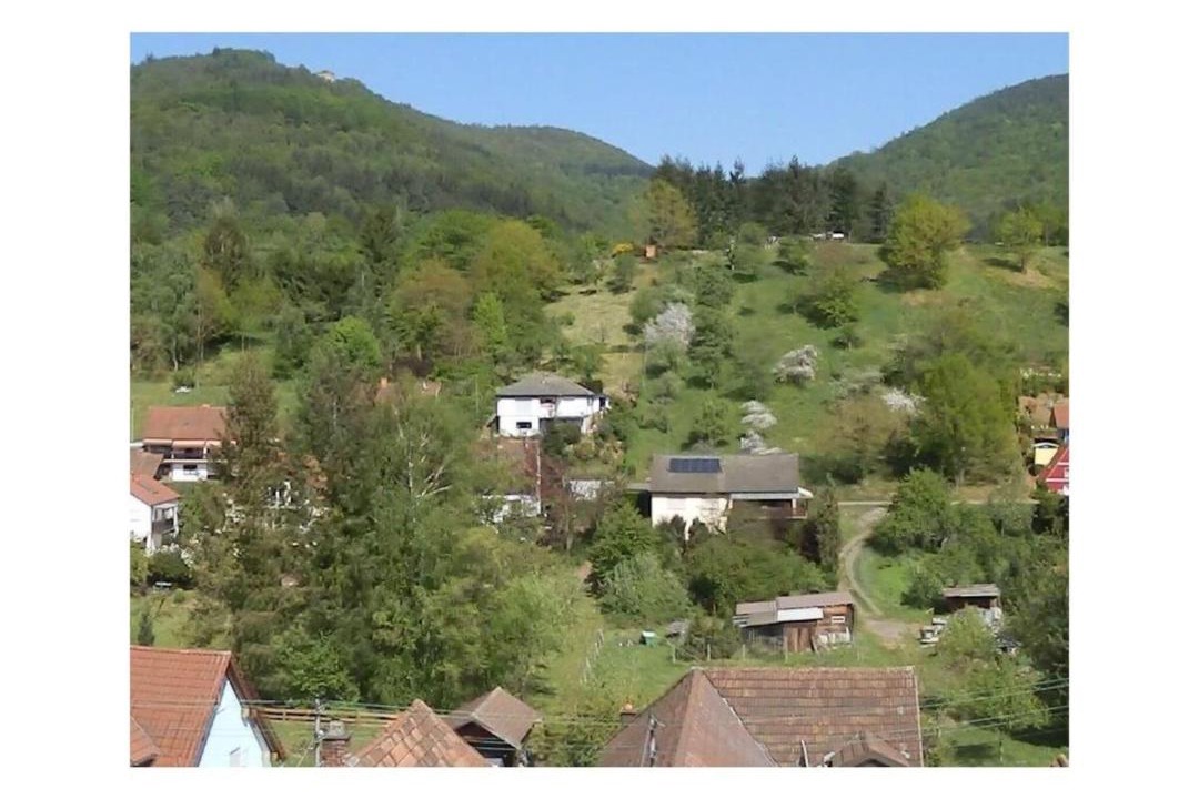 Photo of Others in Dernbach