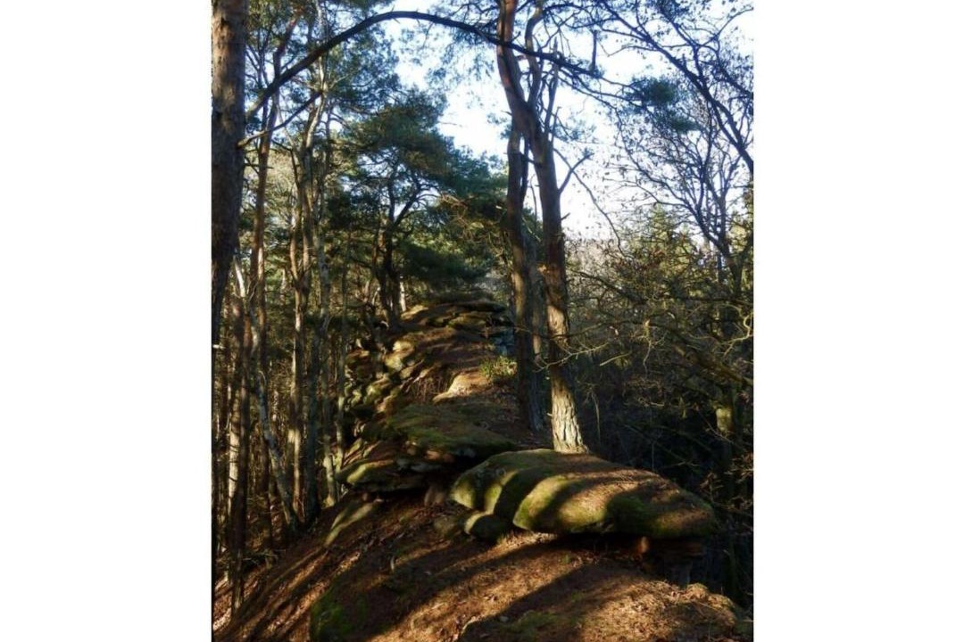 Photo of Others in Dernbach
