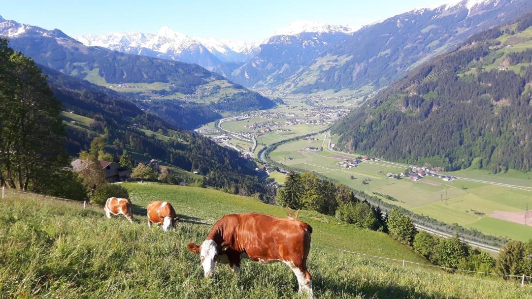 Photo of Others in Distelberg