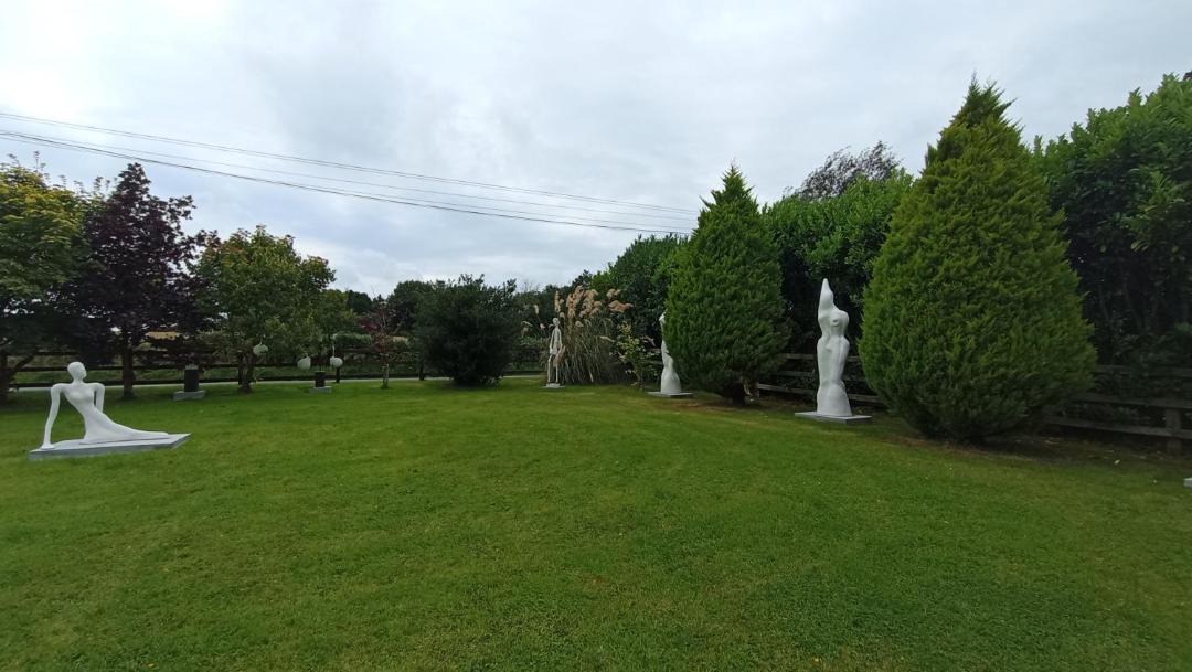 Photo of Others in Ballyedmond