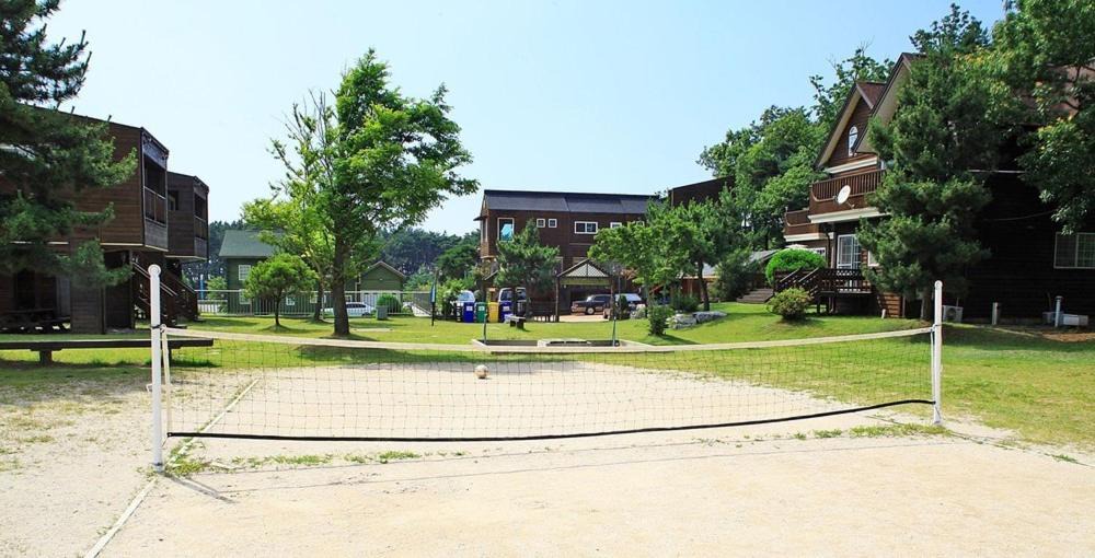Photo of Others in Taean