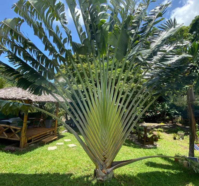 Photo of Outdoor in Pointe-Noire
