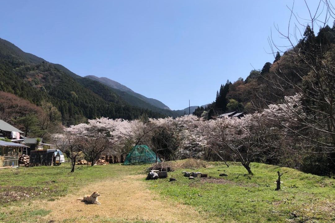 Photo of Others in Matsusaka