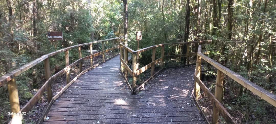 Photo of Others in Puerto Montt