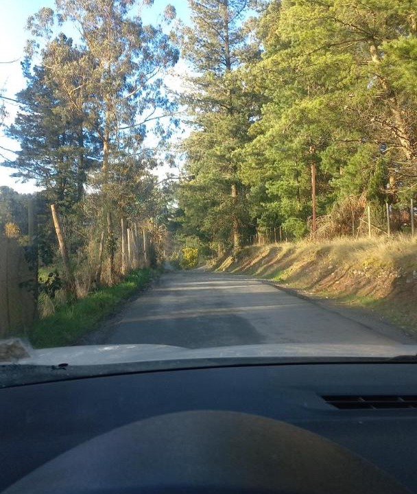Photo of Outdoor in Puerto Montt