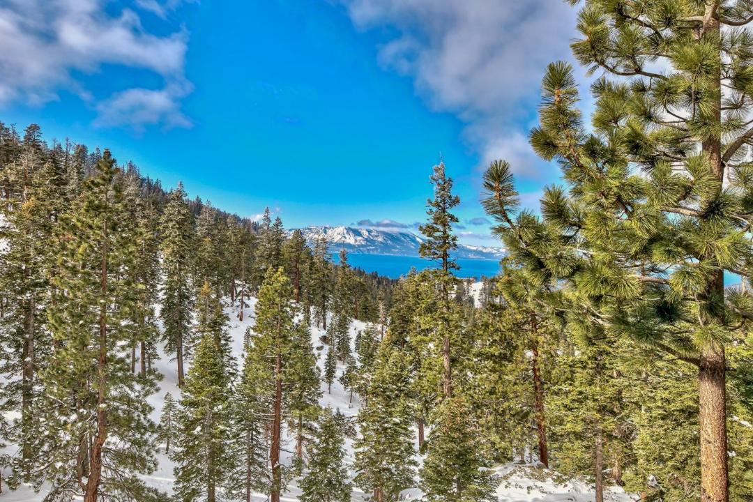 Photo of Others in Tahoe Village