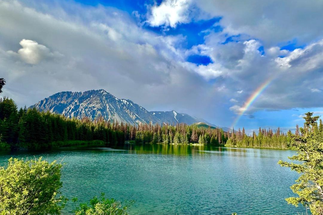 Photo of Others in Denali