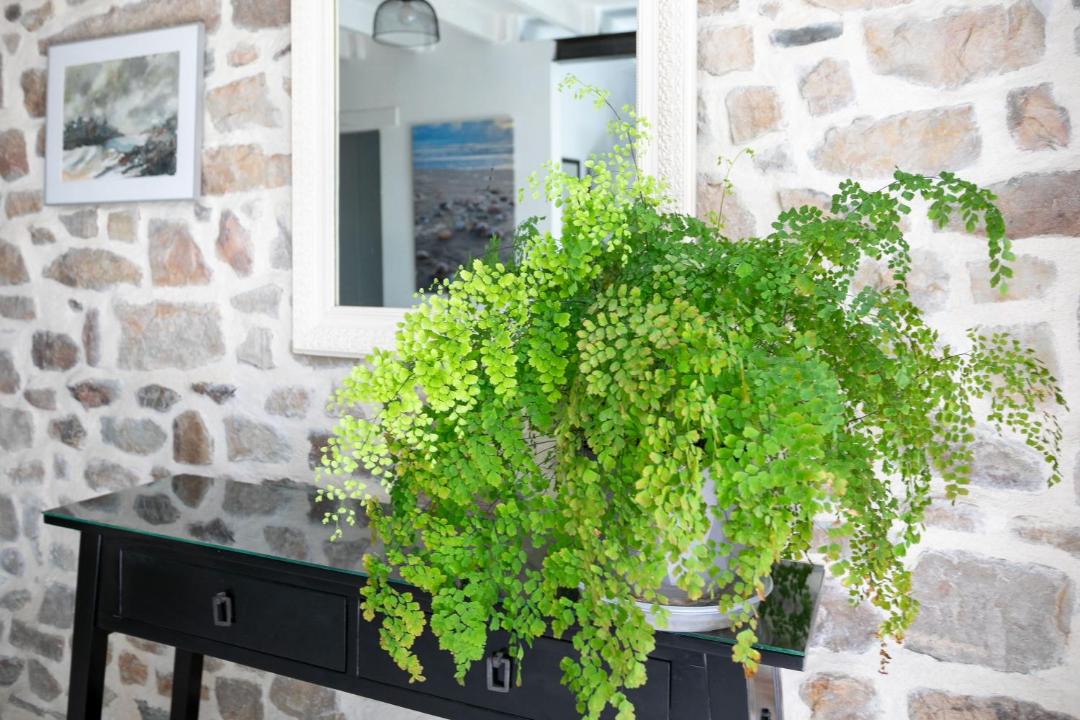 Photo of Others in Paimpol